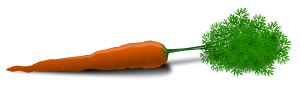 Carrot PNG image-4986